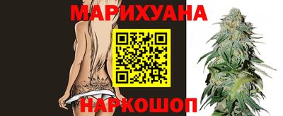 крисы Коммунар