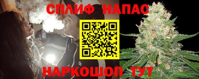 крисы Коммунар