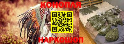 крисы Коммунар