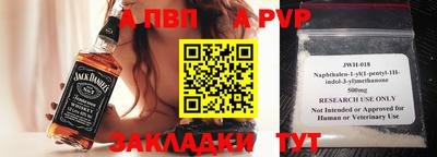 крисы Коммунар