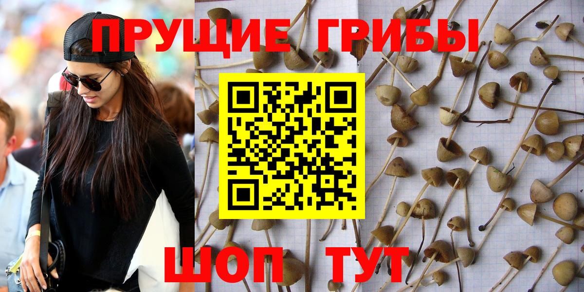 Еманжелинск  Галлюциногенные грибы GOLDEN TEACHER  Галлюциногенные грибы GOLDEN TEACHER  Вход с VPN 
